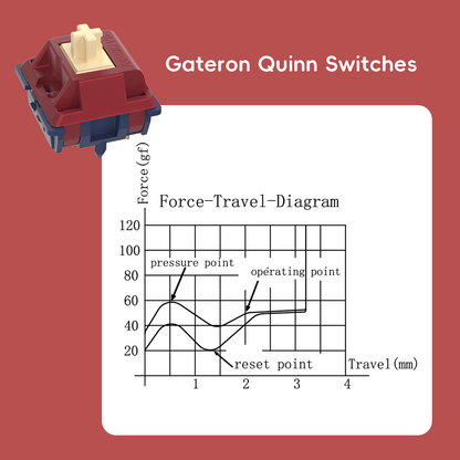 Gateron Quinn Switches