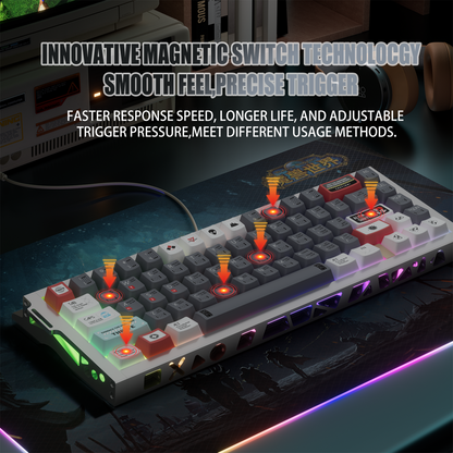 KY67 Pro Gaming Keyboard, 65% RGB Hall Effect Keyboard, 67 Keys with Gateron Magnetic Switches