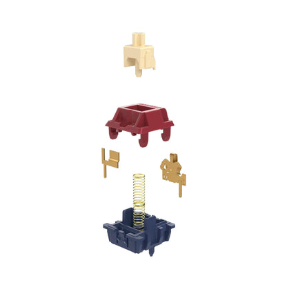 Gateron Quinn Switches